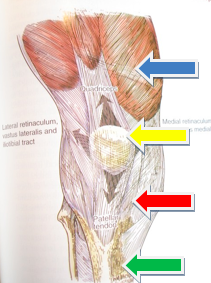 Instabilidade Femoropatelar do joelho